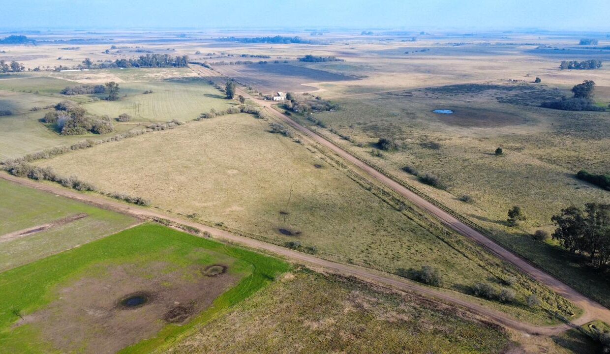 WhatsApp Image 2025-09-04 at 13.53.01