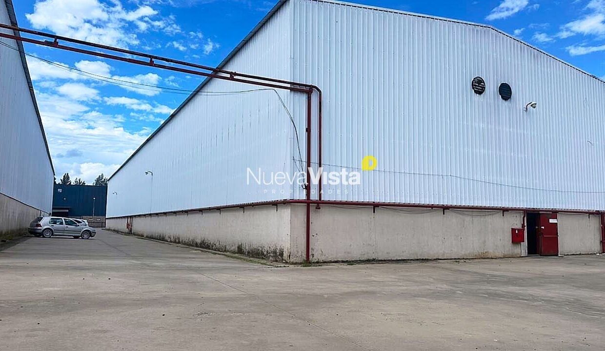 WhatsApp Image 2026-03-04 at 16.41.59 (3)